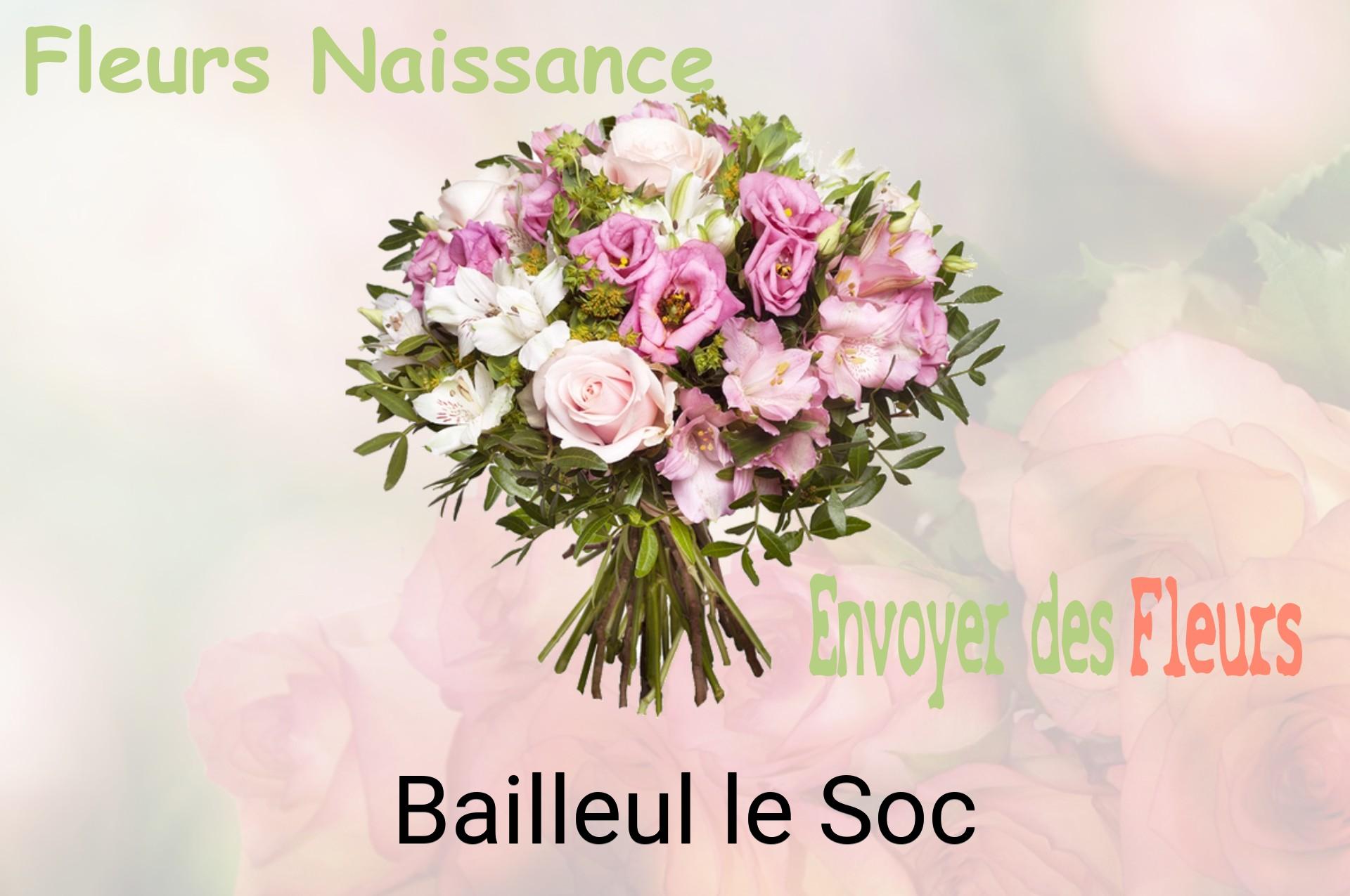 Bouquet de fleurs de naissance livré à Bailleul-le-Soc